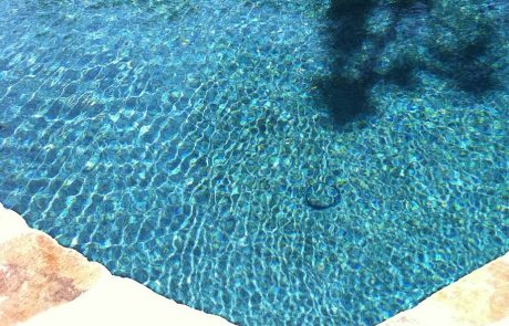 gc_tigerseyelagoon_pool7