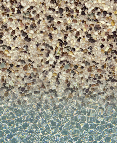 sandstone desert coral